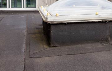 disadvantages of Champernhayes Marsh flat roofs