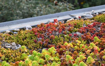 the cost of Champernhayes Marsh green roof installation