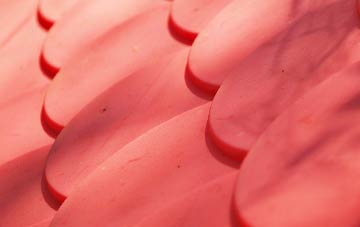 Champernhayes Marsh plastic roof costs