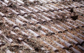 Champernhayes Marsh roof cleaning companies