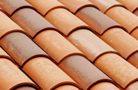 Champernhayes Marsh clay roofing