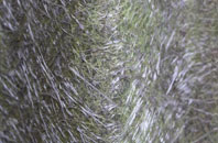 Champernhayes Marsh fibreglass roof work